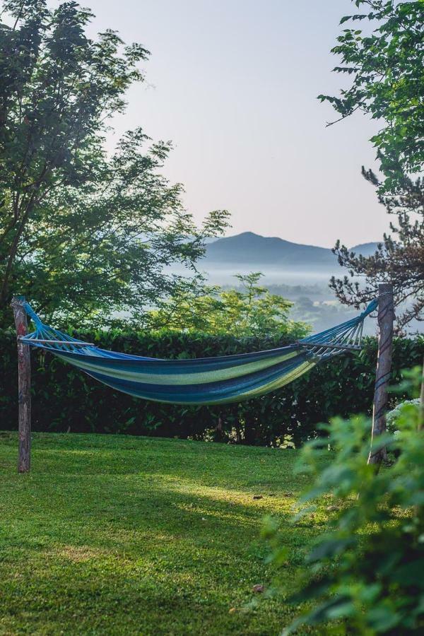 Farm Stay Synergia - Hiden Treasure Pazin Exteriér fotografie